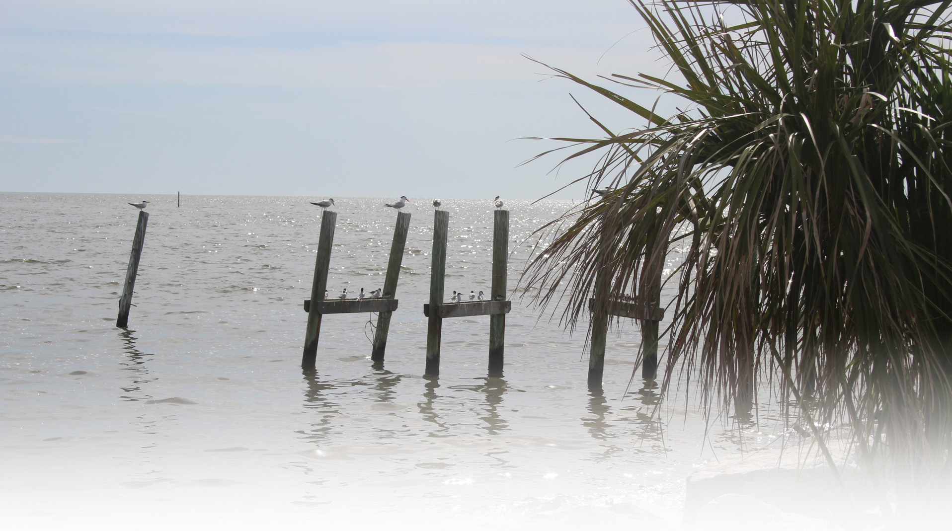 Welcome <strong> to</strong> <br>Horseshoe <br>Beach